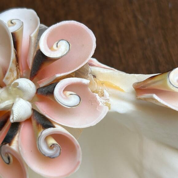 Natural clam shell soap dish - Picture 4 of 7